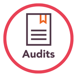 I&D Icon - Audits